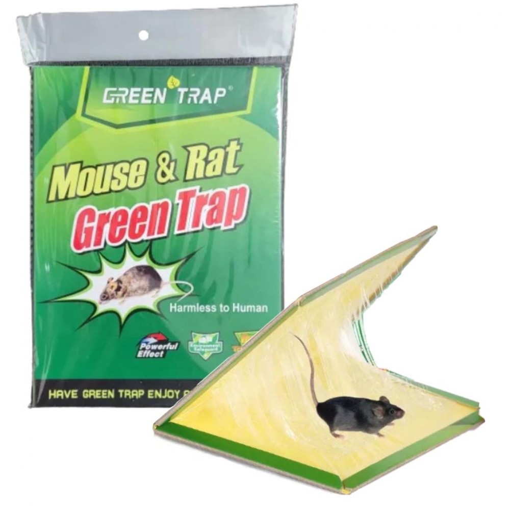 Capcana lipici pentru soareci / sobolani