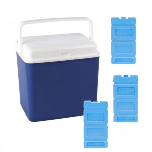 Lada frigorifica camping 24L cu 3 pastile racire 350g, Enger