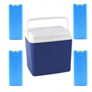 Lada frigorifica camping 24L cu 4 pastile racire 200g, Enger