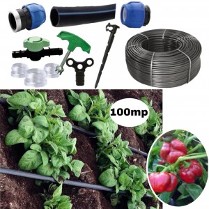Kit irigare tub picurare complet 100mp, cultura de gogosari, 20cm/100m