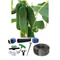 Kit irigare tub picurare complet 100mp, cultura de castraveti, 30cm/100m