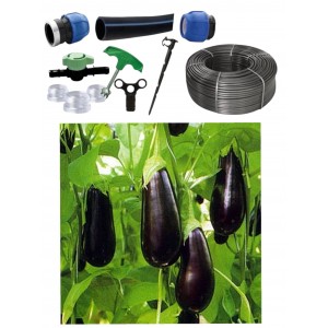 Kit irigare tub picurare complet 100mp, cultura de vinete, 30cm/100m